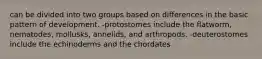 can be divided into two groups based on differences in the basic pattern of development. -protostomes include the flatworm, nematodes, mollusks, annelids, and arthropods. -deuterostomes include the echinoderms and the chordates