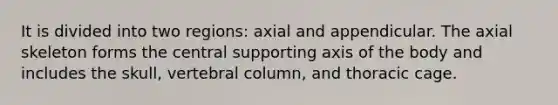 It is divided into two regions: axial and appendicular. The axial skeleton forms the central supporting axis of the body and includes the skull, vertebral column, and thoracic cage.