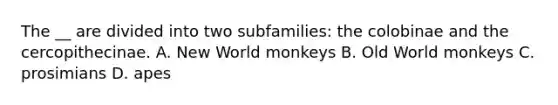 The __ are divided into two subfamilies: the colobinae and the cercopithecinae. A. New World monkeys B. Old World monkeys C. prosimians D. apes