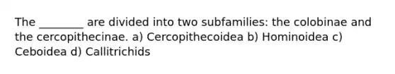 The ________ are divided into two subfamilies: the colobinae and the cercopithecinae. a) Cercopithecoidea b) Hominoidea c) Ceboidea d) Callitrichids