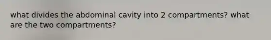 what divides the abdominal cavity into 2 compartments? what are the two compartments?