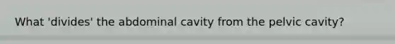 What 'divides' the abdominal cavity from the pelvic cavity?