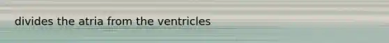 divides the atria from the ventricles