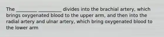 The _________ __________ divides into the brachial artery, which brings oxygenated blood to the upper arm, and then into the radial artery and ulnar artery, which bring oxygenated blood to the lower arm