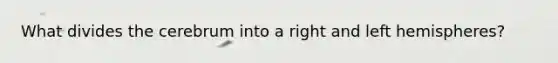 What divides the cerebrum into a right and left hemispheres?