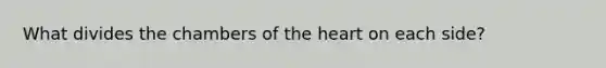 What divides the chambers of the heart on each side?