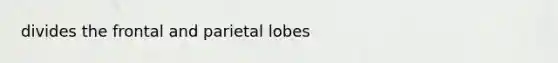 divides the frontal and parietal lobes