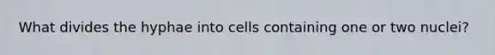 What divides the hyphae into cells containing one or two nuclei?