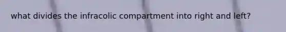 what divides the infracolic compartment into right and left?