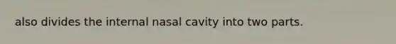 also divides the internal nasal cavity into two parts.