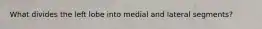 What divides the left lobe into medial and lateral segments?