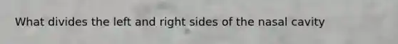What divides the left and right sides of the nasal cavity
