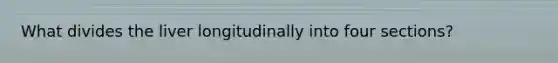 What divides the liver longitudinally into four sections?
