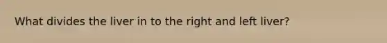 What divides the liver in to the right and left liver?