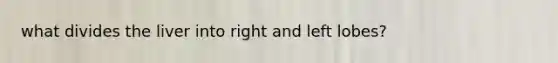 what divides the liver into right and left lobes?