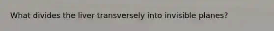 What divides the liver transversely into invisible planes?