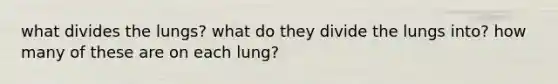 what divides the lungs? what do they divide the lungs into? how many of these are on each lung?