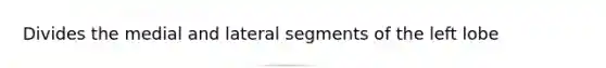 Divides the medial and lateral segments of the left lobe