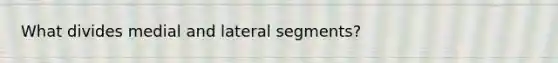 What divides medial and lateral segments?