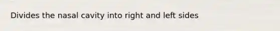 Divides the nasal cavity into right and left sides