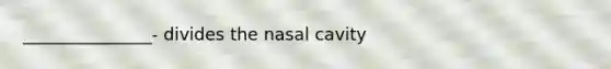 _______________- divides the nasal cavity