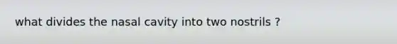 what divides the nasal cavity into two nostrils ?