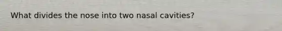 What divides the nose into two nasal cavities?