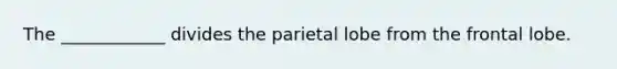 The ____________ divides the parietal lobe from the frontal lobe.