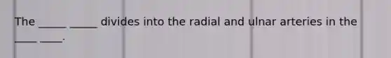 The _____ _____ divides into the radial and ulnar arteries in the ____ ____.