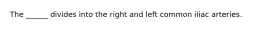 The ______ divides into the right and left common iliac arteries.