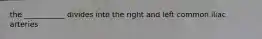 the ___________ divides into the right and left common iliac arteries
