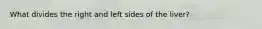 What divides the right and left sides of the liver?