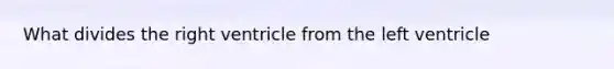 What divides the right ventricle from the left ventricle