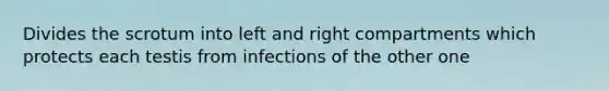 Divides the scrotum into left and right compartments which protects each testis from infections of the other one