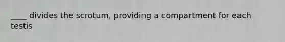 ____ divides the scrotum, providing a compartment for each testis