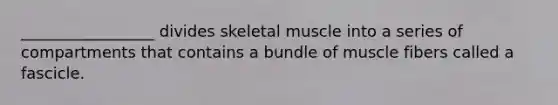 _________________ divides skeletal muscle into a series of compartments that contains a bundle of muscle fibers called a fascicle.