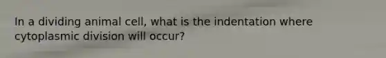 In a dividing animal cell, what is the indentation where cytoplasmic division will occur?