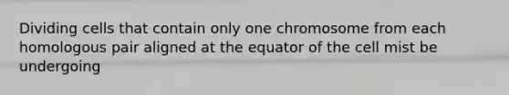 Dividing cells that contain only one chromosome from each homologous pair aligned at the equator of the cell mist be undergoing