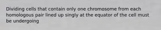 Dividing cells that contain only one chromosome from each homologous pair lined up singly at the equator of the cell must be undergoing