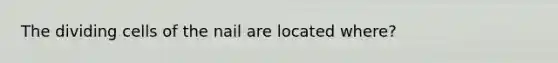 The dividing cells of the nail are located where?