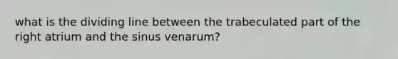 what is the dividing line between the trabeculated part of the right atrium and the sinus venarum?