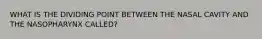 WHAT IS THE DIVIDING POINT BETWEEN THE NASAL CAVITY AND THE NASOPHARYNX CALLED?