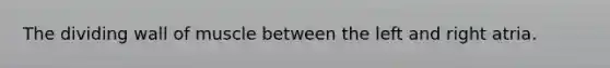 The dividing wall of muscle between the left and right atria.