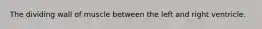 The dividing wall of muscle between the left and right ventricle.