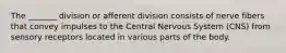 The _______ division or afferent division consists of nerve fibers that convey impulses to the Central Nervous System (CNS) from sensory receptors located in various parts of the body.