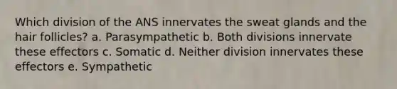 Which division of the ANS innervates the sweat glands and the hair follicles? a. Parasympathetic b. Both divisions innervate these effectors c. Somatic d. Neither division innervates these effectors e. Sympathetic