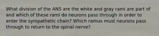 What division of the ANS are the white and gray rami are part of and which of these rami do neurons pass through in order to enter the sympathetic chain? Which ramus must neurons pass through to return to the spinal nerve?