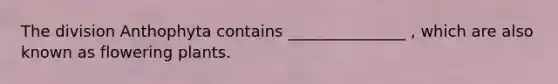 The division Anthophyta contains _______________ , which are also known as flowering plants.