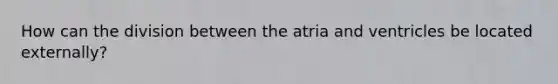 How can the division between the atria and ventricles be located externally?