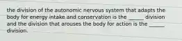 the division of the autonomic nervous system that adapts the body for energy intake and conservation is the ______ division and the division that arouses the body for action is the ______ division.